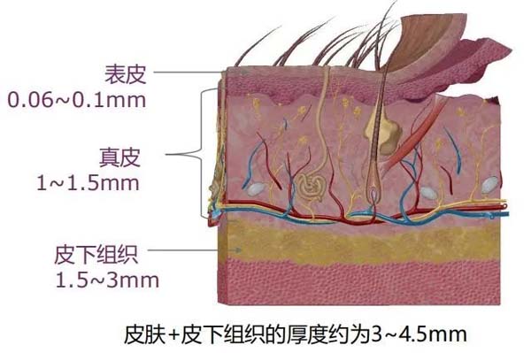 微信图片_20230224095010.jpg