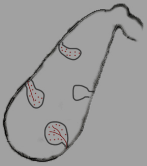微信图片_20230303103128.png