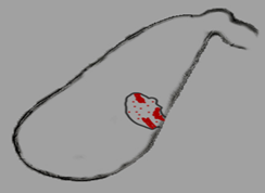 微信图片_20230303103129.png