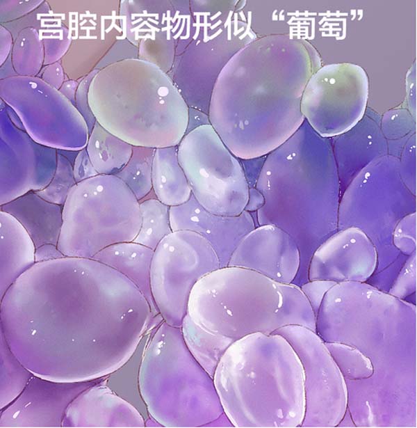 微信图片_20230308102606.jpg