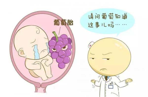 微信图片_20230308102608.jpg