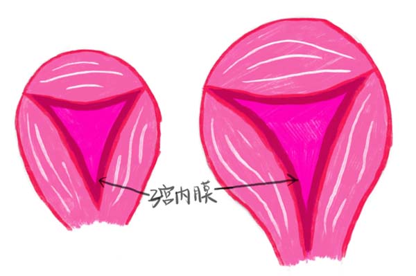 微信图片_20230417095935.jpg