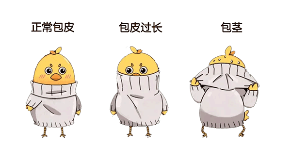 12.gif