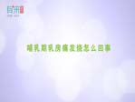 哺乳期乳房痛发烧怎么回事