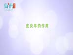 皮炎平的作用