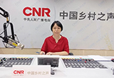 妇儿医院产科医生做客CNR：这份产检手册请您务必收藏