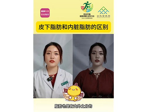 皮下脂肪和内脏脂肪的区别
