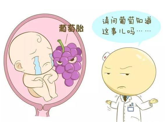 微信图片_20180523163630.jpg