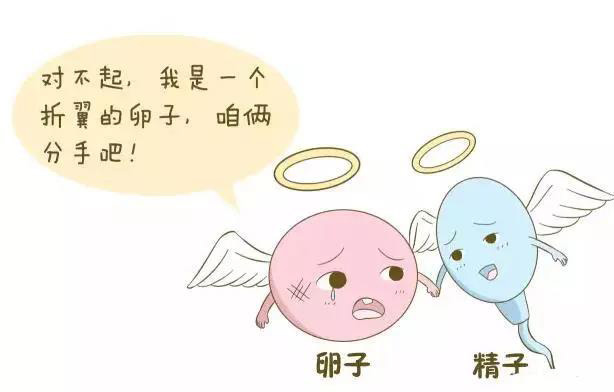 微信图片_20180523163636.jpg