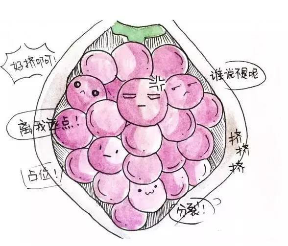 微信图片_20180523163646.jpg