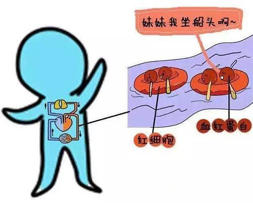 微信图片_20190809150351.jpg